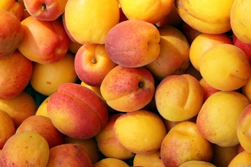 golden apricots