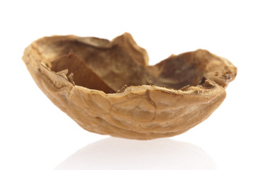 walnut shell