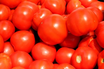 tomatoes