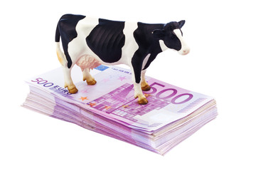 Viele 500 Eurogeld Banknoten