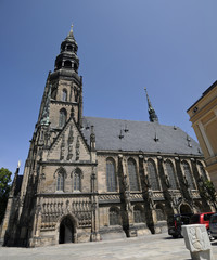 Fototapeta na wymiar Zwickau Katedra, Kościół Mariacki, Zickau, Saksonia, Niemcy