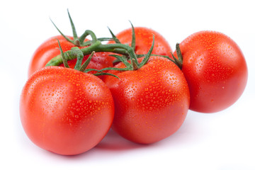 tomatoes