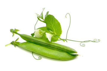 Green Peas in Pods with Leaves and Flowers on White Background