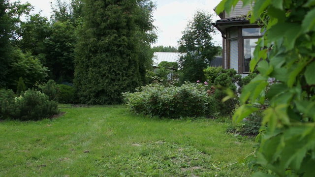 Small garden at backyard in summer day