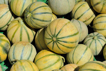 melons du marché