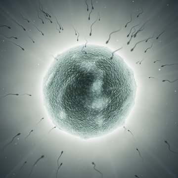 Sperma