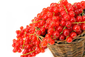 Rote Johannisbeeren