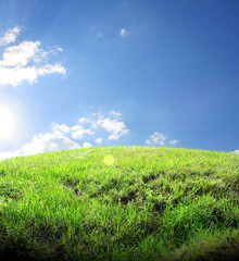 Green grassland