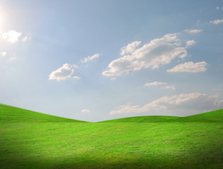 Green grassland