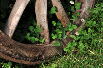 old wheel
