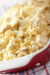 Macaroni and cheese with chicken