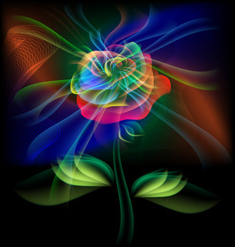 fairy flower