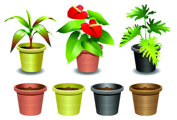 Fototapeta premium Indoor office plants - 1