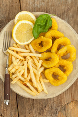 Tintenfischringe