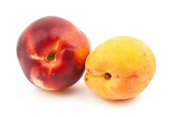 nectarine et abricot