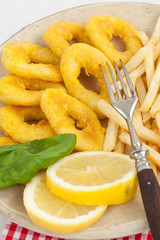 Tintenfischringe