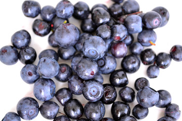 berries