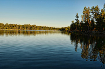 Fototapeta premium Forest Lake