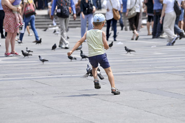 Obraz premium child playing with pigeons in the square