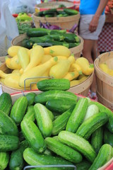Baskets of cucumbers, squash, & zucchini