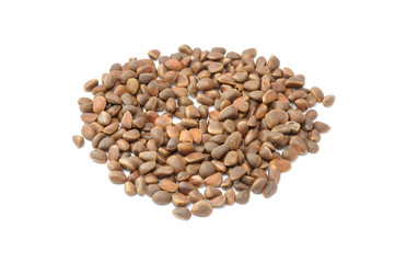 Pine Nuts Isolated on White Background
