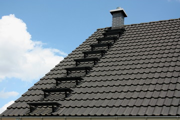 Dachtritte