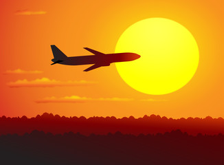 plane in the sky