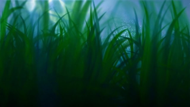 under water scene with seashell and pearl