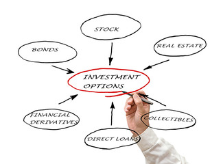 INVESTMENT  OPTIONS
