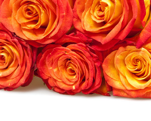 roses