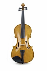 Fototapeta na wymiar Pojedyncze włoski Violin