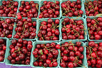 Fresh Cherries