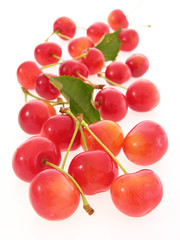 red cherries/rote Kirschen