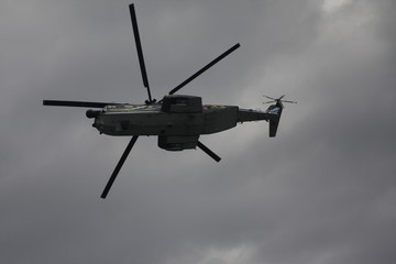 Fototapeta premium HH-3F Pelican
