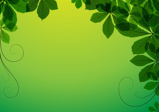 Abstract background with green chestnut leaves