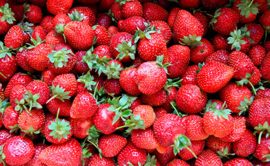 Sea of Strawberry