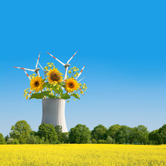 Energiewende, Energiepolitik, Rapsfeld, Lösung, Composing