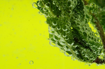 SONY DSC © lukaszr82