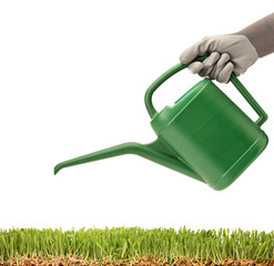Obraz premium A person holding a watering can and green glass