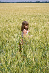 The little girl goes on a grain field