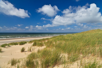 Fototapeta na wymiar Sand dunes with helmet grass
