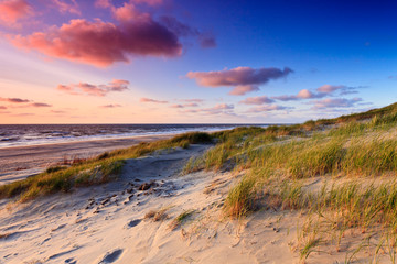Seaside with sand dunes at sunset