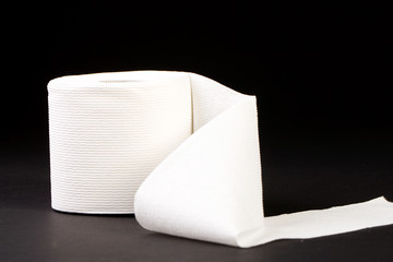 Roll of toilet paper