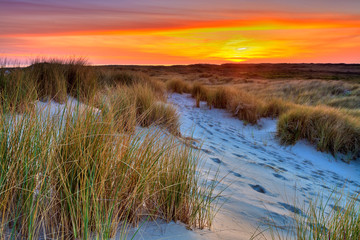 Seaside with sand dunes at sunset