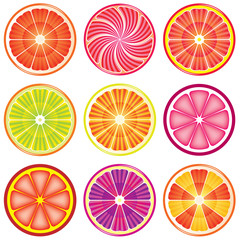 vector set of colorful citrus slices