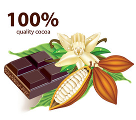 Chocolate vanilla flower and fruit of the cocoa