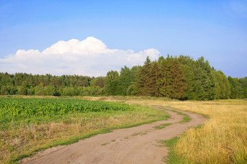 Fototapeta na wymiar Landscape with empty road through forest under blue sky
