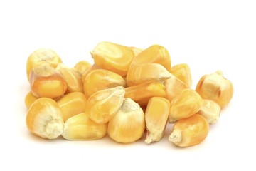 Grains de maïs