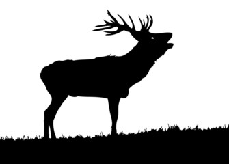 deer graphic