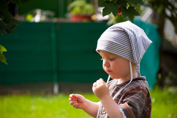 Kleiner Junge isst Johannisbeeren